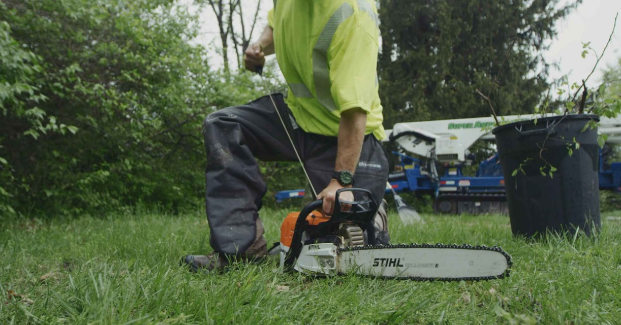 Professional tree service specialist using chainsaw safely in Hollister, CA